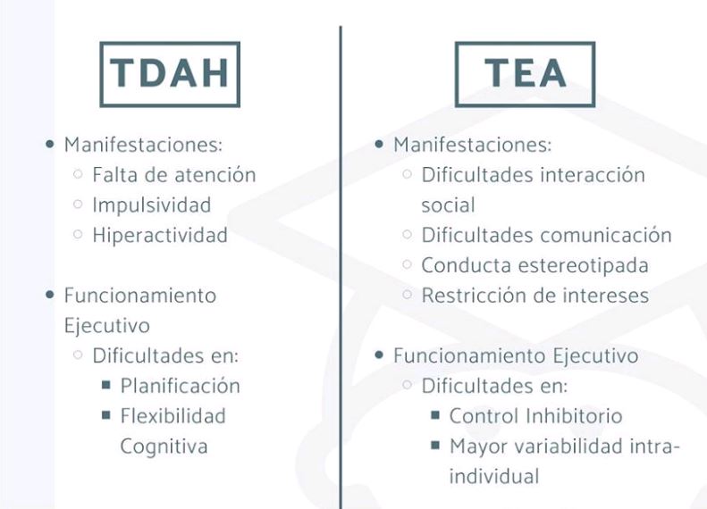 Qu Diferencia Hay Entre El Autismo Y El Tea Escuelasdelenguaje